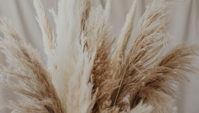 découvrez des idées élégantes de décoration pampa pour un mariage chic, alliant douceur et naturel pour une ambiance raffinée et tendance.